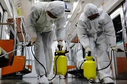 Инструкция по проведению мероприятий для профилактики заболеваний, вызываемых коронавирусами