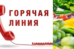 О проведении «горячей линии» по качеству и срокам годности пищевых продуктов