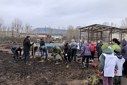 ВОЛОНТЕРЫ ВЫСАДИЛИ ЦВЕТЫ НА КЛУМБАХ У ДК «РЕЧНИКИ»