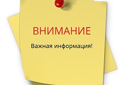 Зарегистрирован падеж поголовья сельскохозяйственной птицы